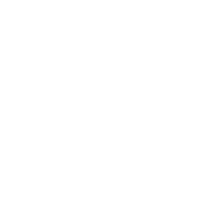 Telephone icon